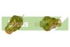 LUCAS ELECTRICAL SNB700 Temperature Switch, radiator fan